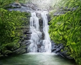 Hawaiian Waterfall