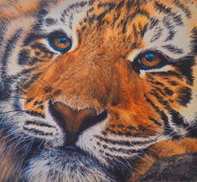 Load image into Gallery viewer, Tiger&#39;s Time Out  - canvas print