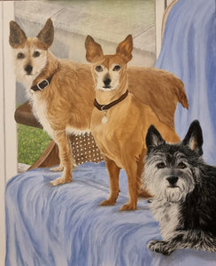 The 3 dogs
