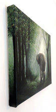 Load image into Gallery viewer, An Afternoon Stroll