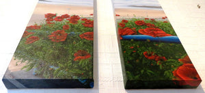 Poppies on Parade