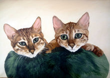 Load image into Gallery viewer, Bengal kittens