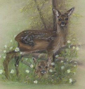 In the Meadow