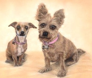 2 dogs