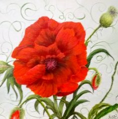 Pretty Poppy (SOLD)